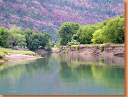 Animas River Durango